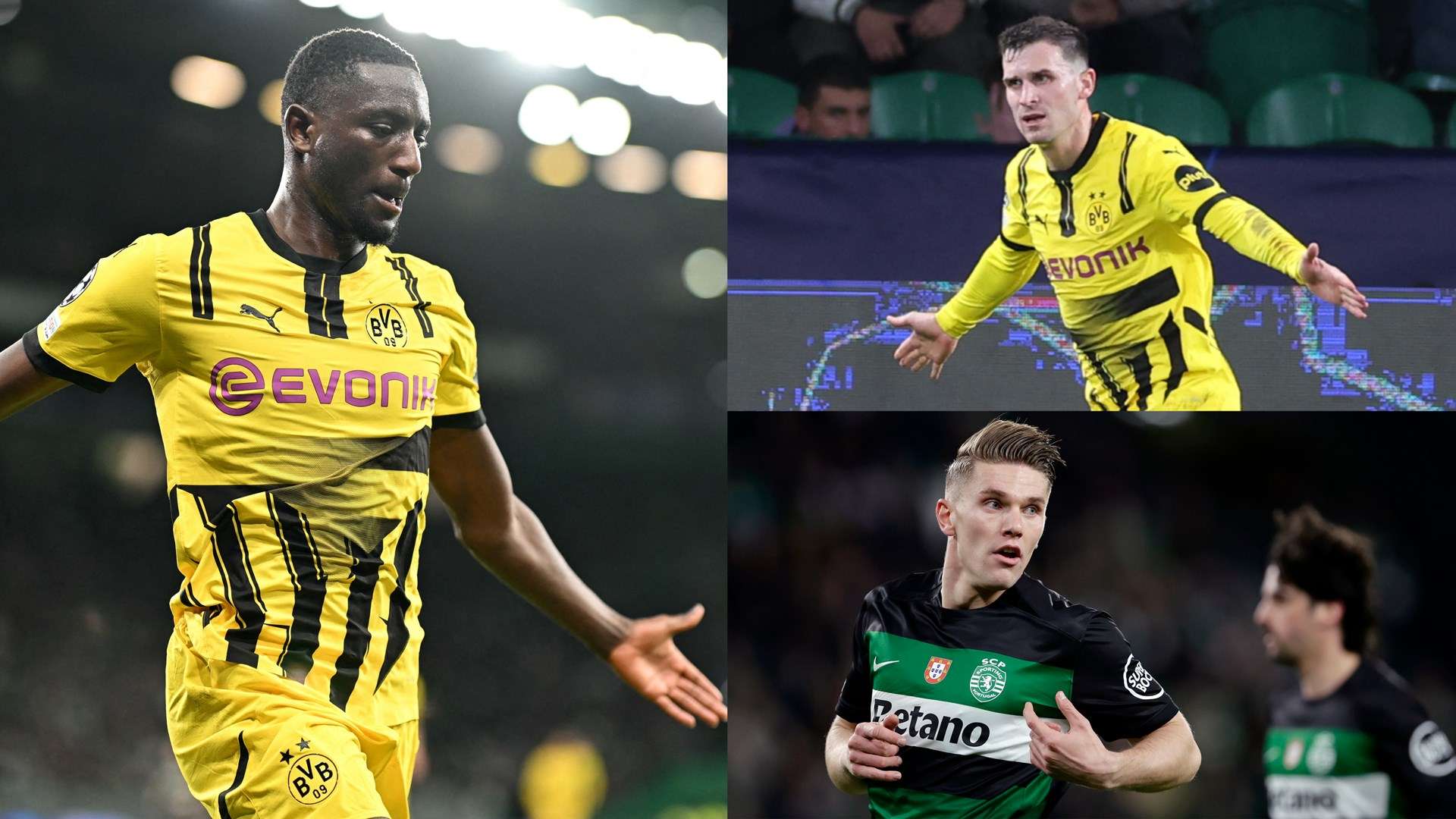 近年来饱受 近年来饱受