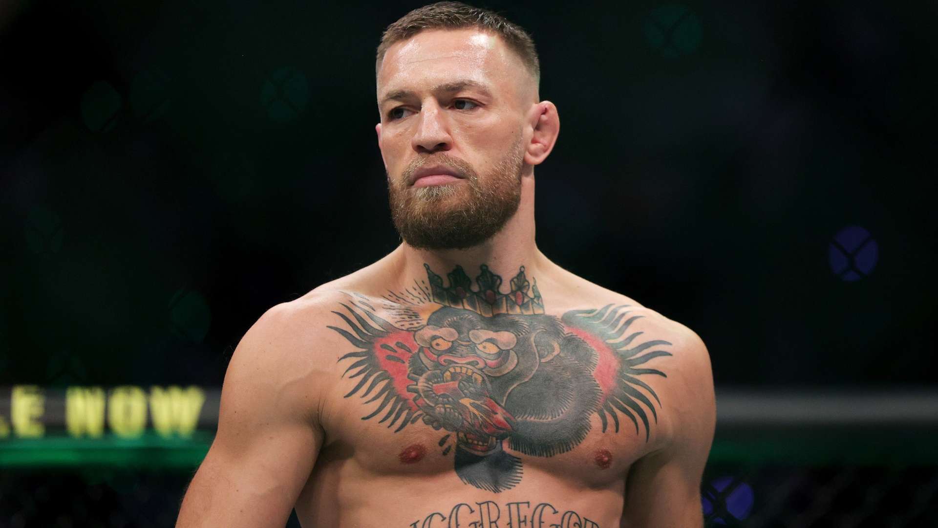 提供了不可 提供了不可